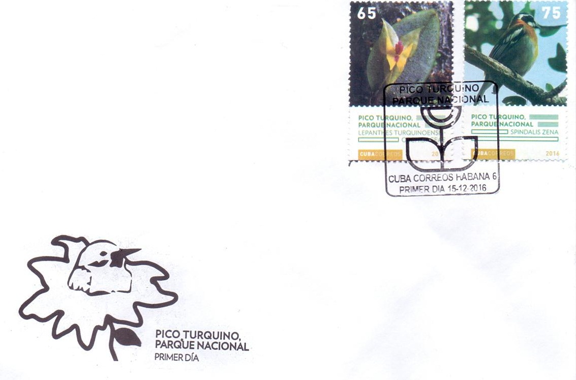 1 (Medium)