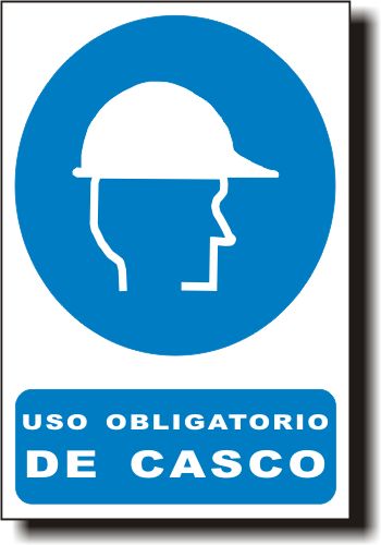 CASCO_SEGURIDAD