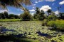 cienaga-zapata-cuba-1