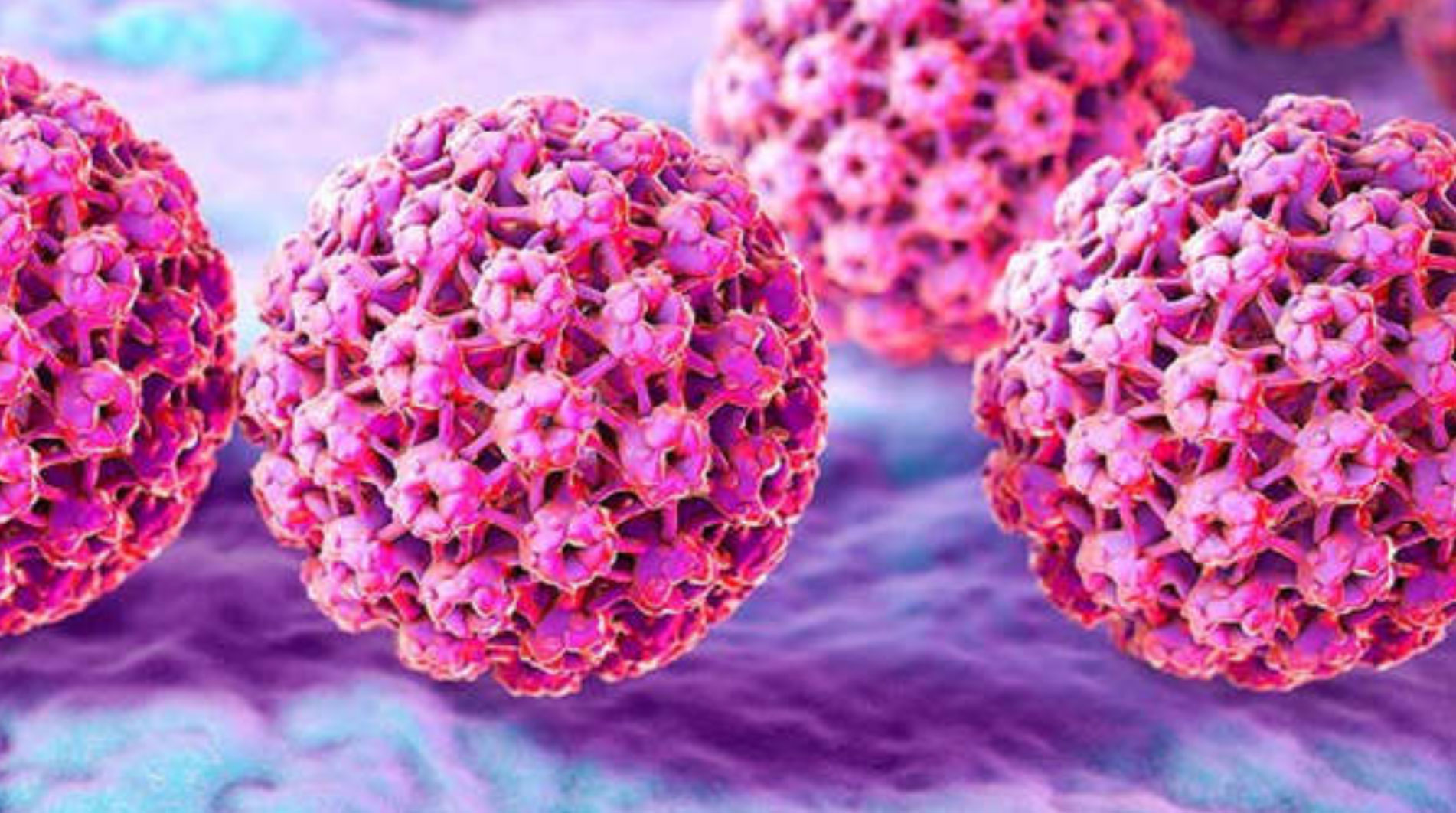 virus-vph