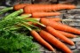 carrots-2387394_1280