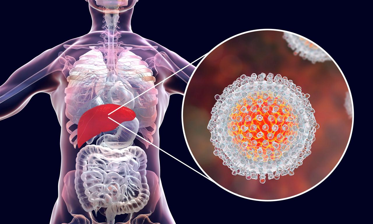 hepatitis-c (Medium)