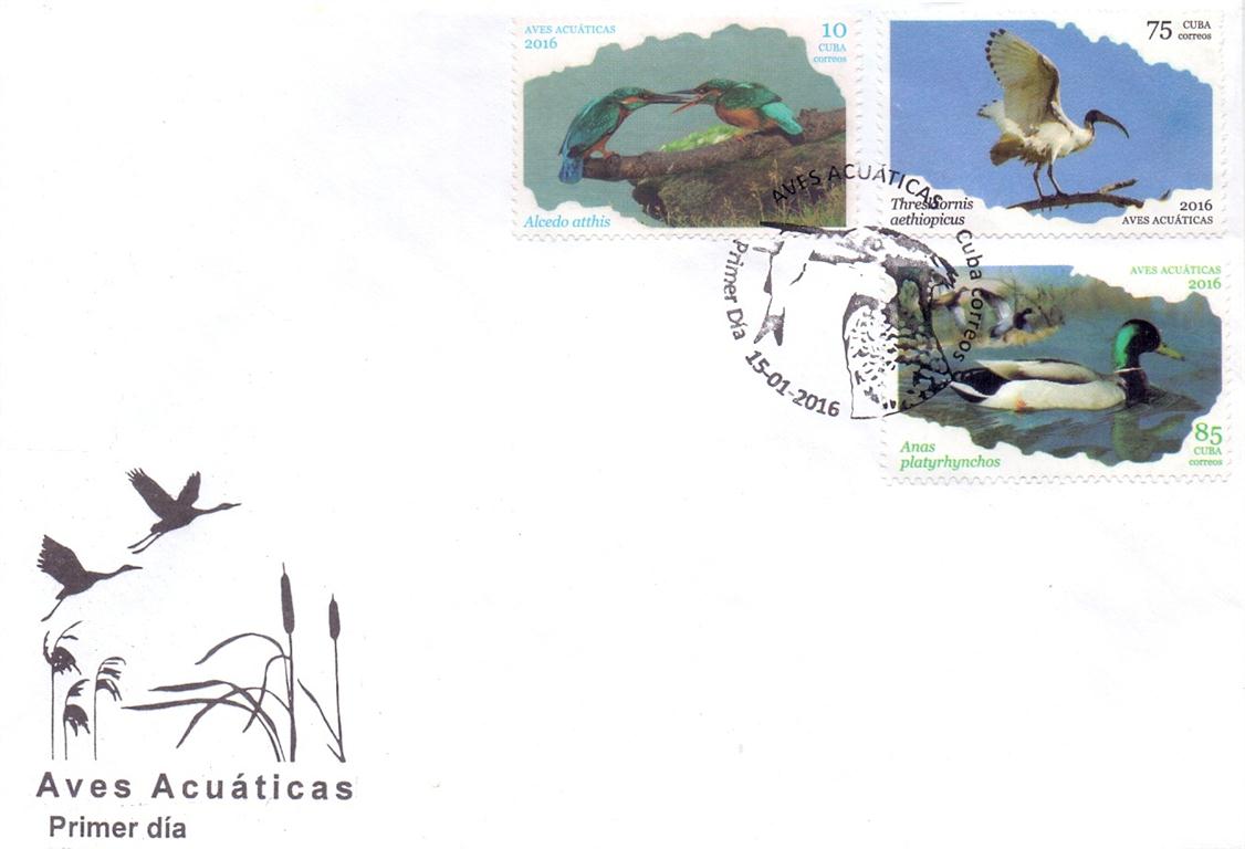 scan00011 (Medium)