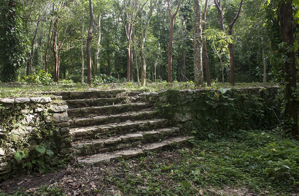 terrazas-ruinas-cafetalUnion