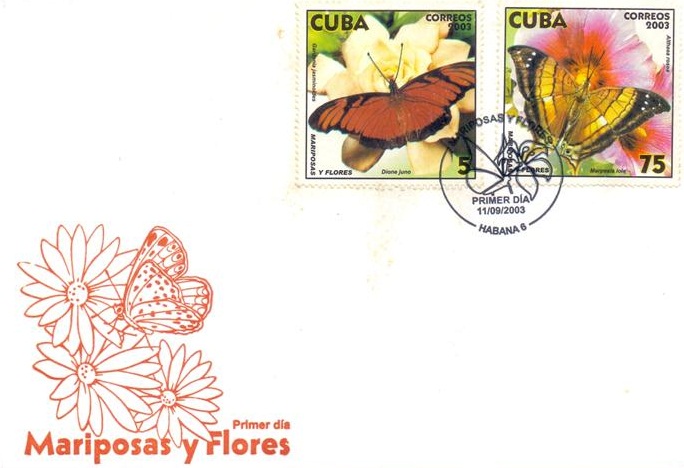 scan0005 (Small)