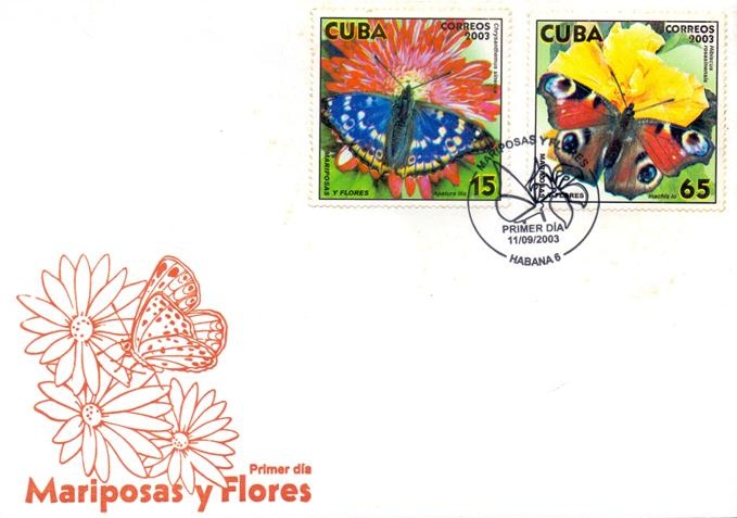 scan0006 (Small)