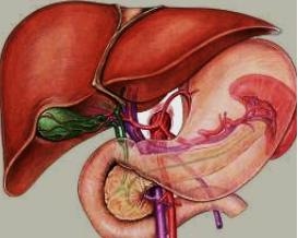 Metabolismo de fármacos