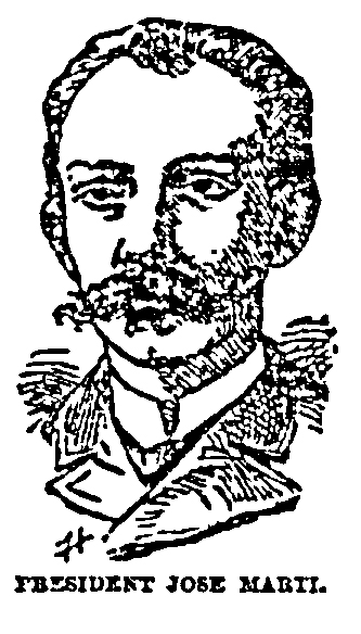 New-York-Herald-2-1-1891-24