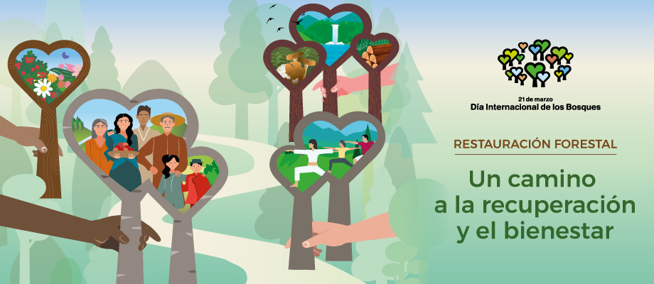Tema 226. Logo bosques.