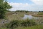 Lagunas del El Acebuche