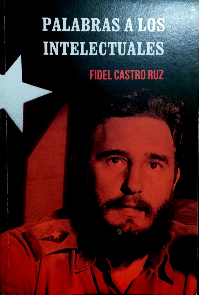 Palabras a los intelectuales