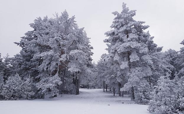 Nieve00