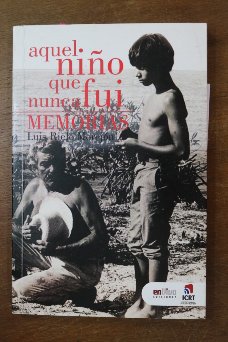 Aquel niño que nunca fui (Mediano)