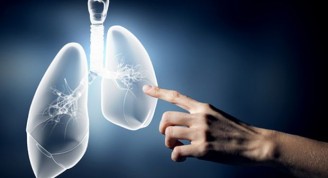 asi-lucha-el-sistema-inmune-del-pulmon-contra-la-tuberculosis-8451_620x368