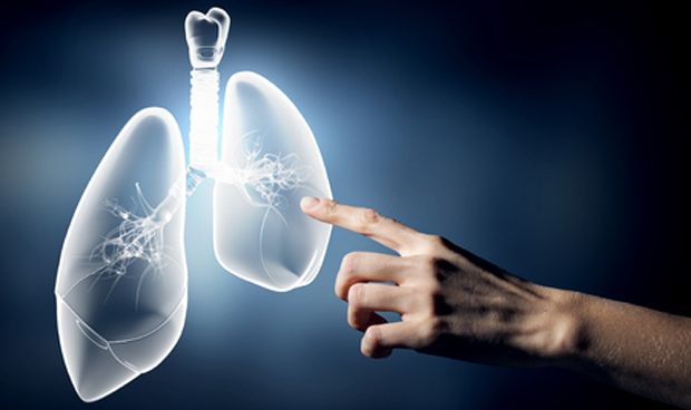 asi-lucha-el-sistema-inmune-del-pulmon-contra-la-tuberculosis-8451_620x368