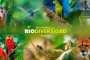 biodiveersidad-dia-696x497