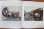 IMG_20230215_130751-Mediano