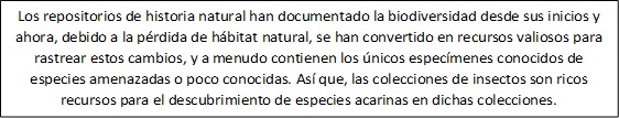 Sin título2