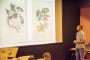 Andar Virtual “Presencia de la flora cubana en los documentos”. 2023