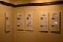 IMG-20250313-WA0058
