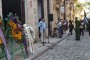 IMG-20250517-WA0021