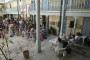IMG-20250517-WA0271