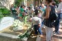 IMG-20250731-WA0029