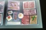 IMG-20250905-WA0007